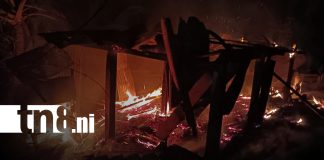 Foto: Incendio arrasa vivienda en Barrio San Pedro/TN8