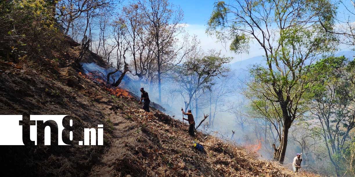 Foto: Incendio forestal arrasa zona productiva en Somoto/TN8