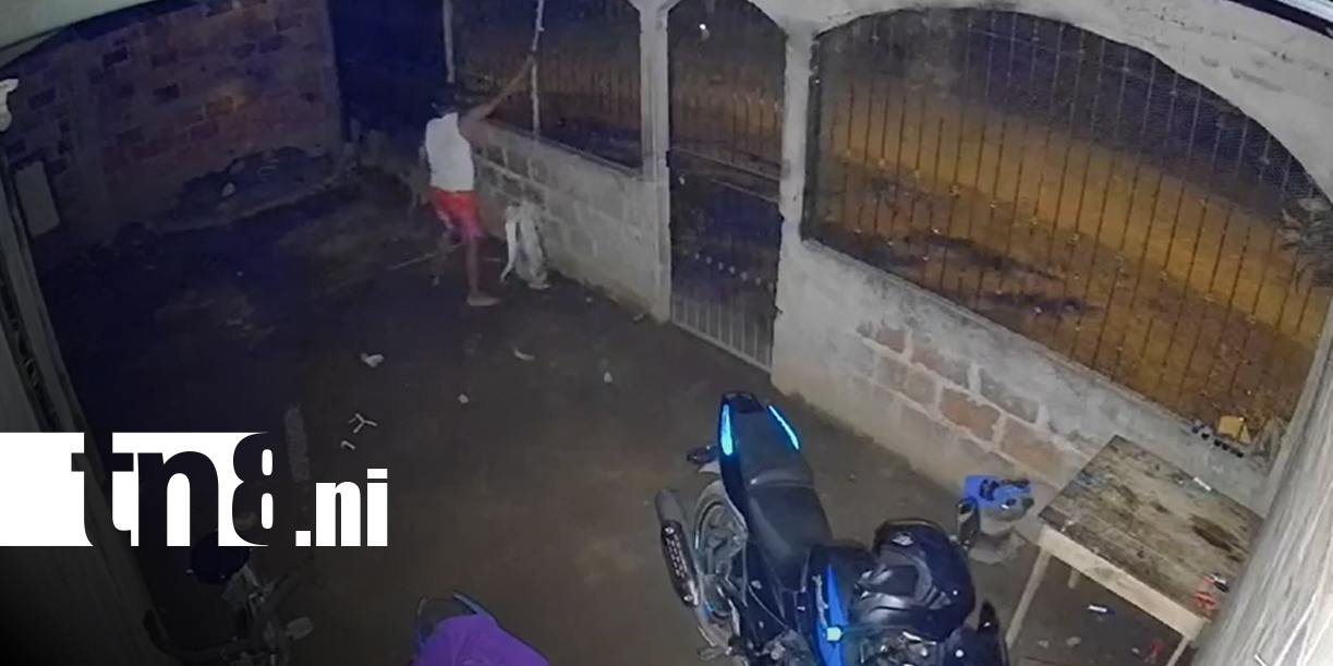 Foto: Delincuente con habilidades de escalada roba vivienda en La Florida, Chinandega/TN8