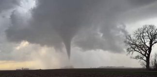Foto: Tornados en Minnesota activan alerta en Estados Unidos/TN8
