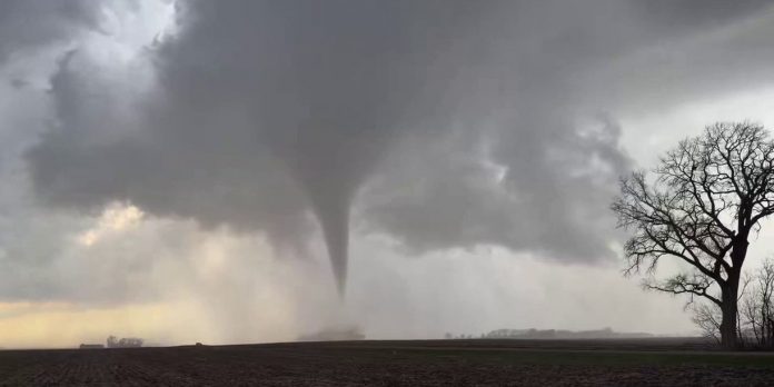 Foto: Tornados en Minnesota activan alerta en Estados Unidos/TN8