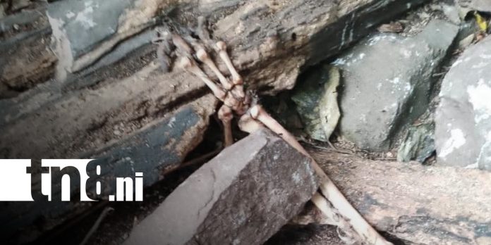 Foto: hallazgo de osamentas en comunidad de El Cuá/TN8