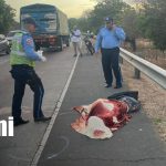 Ciclista fallece en accidente de tránsito en la pista de circunvalación Granada– Masaya Foto: Accidente deja ciclista fallecido en Granada– Masaya/TN8