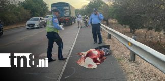 Foto: Accidente deja ciclista fallecido en Granada– Masaya/TN8