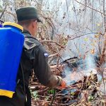 Foto: Ejército de Nicaragua sofoca incendio forestal en Posoltega/Cortesía