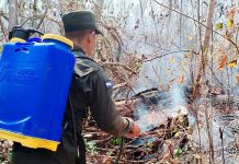 Ejército de Nicaragua sofoca incendio forestal en Posoltega Foto: Ejército de Nicaragua sofoca incendio forestal en Posoltega/Cortesía