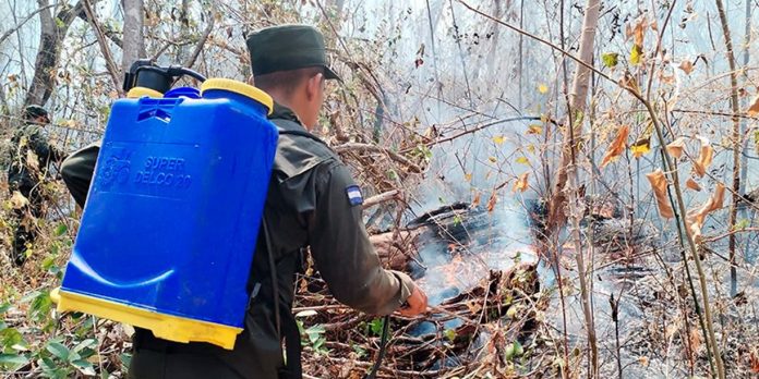Foto: Ejército de Nicaragua sofoca incendio forestal en Posoltega/Cortesía