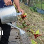 Estudiantes técnicos de Nicaragua lideran jornada nacional por la Madre Tierra en Siuna Foto: Juventud técnica impulsa jornada ambiental en Siuna/ TN8