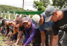 FOTO: Nicaragua fortalece viveros forestales en Boaco y Madriz/CORTESÍA