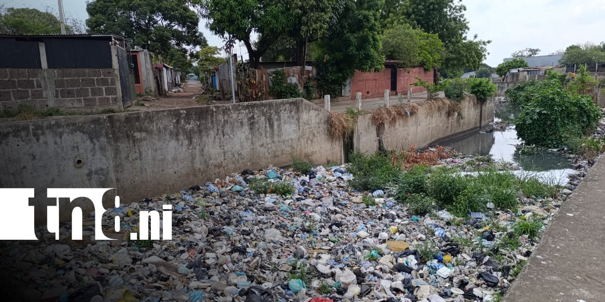 Foto: El impacto de la basura en Managua /TN8