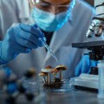 Foto: La FDA sorprende: acelera terapias con psicodélicos/Cortesía