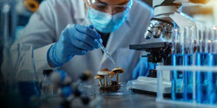 Foto: La FDA sorprende: acelera terapias con psicodélicos/Cortesía Foto: La FDA sorprende: acelera terapias con psicodélicos/Cortesía