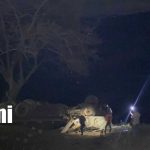 Salida de vía y vuelco de rastra deja un fallecido y dos lesionados en Quilalí, Nueva Segovia Foto: Tragedia en Quilalí: rastra cae a un abismo y deja un muerto/TN8