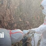 Foto: Hallan cuerpo en avanzado estado de descomposición en carretera Nindirí - Sábana Grande/TN8