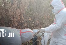 Hallan cuerpo en avanzado estado de descomposición en carretera Nindirí – Sábana Grande Foto: Hallan cuerpo en avanzado estado de descomposición en carretera Nindirí - Sábana Grande/TN8