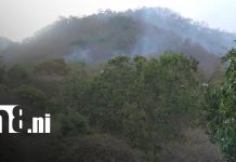 Bomberos y Ejército controlan incendio en la Reserva Natural Cerro Apante en Matagalpa Foto: Bomberos y Ejército controlan incendio en la Reserva Natural Cerro Apante en Matagalpa/TN8