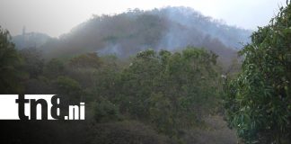 Foto: Bomberos y Ejército controlan incendio en la Reserva Natural Cerro Apante en Matagalpa/TN8