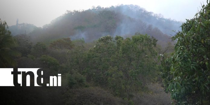 Foto: Bomberos y Ejército controlan incendio en la Reserva Natural Cerro Apante en Matagalpa/TN8