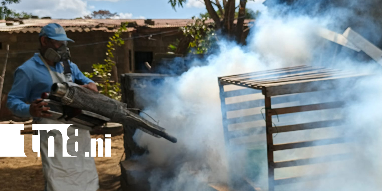 Foto: La pastilla que combate el dengue por hasta 60 días /TN8