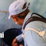 Hasta 60 días sin larvas: así funciona la nueva pastilla contra el dengue Foto: La pastilla que combate el dengue por hasta 60 días /TN8