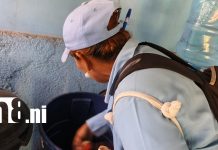Foto: La pastilla que combate el dengue por hasta 60 días /TN8