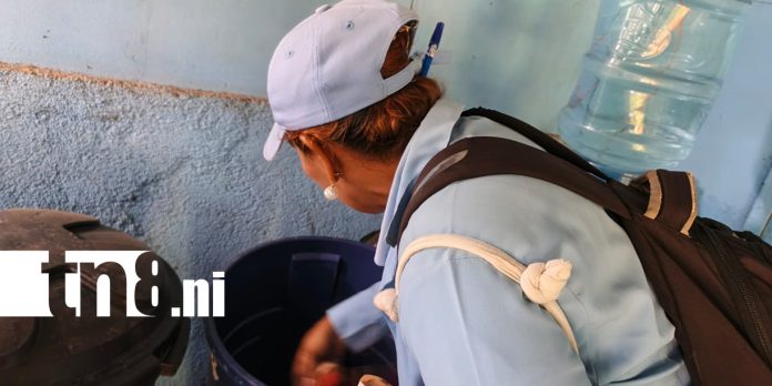 Foto: La pastilla que combate el dengue por hasta 60 días /TN8