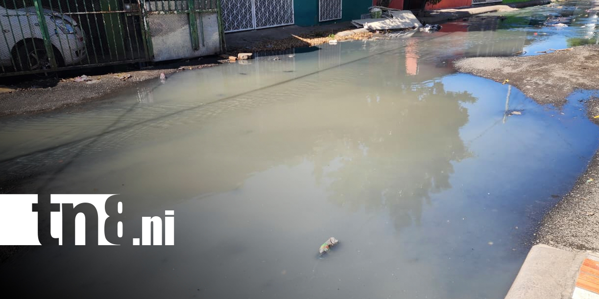 Foto: Aguas residuales inundan calles de Acahualinca/TN8