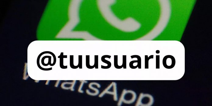 Foto: Nombres de usuario en WhatsApp /cortesía