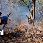 Foto: Incendio forestal arrasa zona productiva en Somoto/TN8