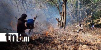 Foto: Incendio forestal arrasa zona productiva en Somoto/TN8