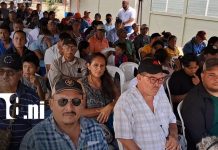Celebran en Carazo el cierre de la cosecha cafetalera 2025–2026 de la cuarta región Foto: Carazo impulsa su economía /TN8