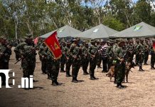 Ejército de Nicaragua destaca cierre exitoso de la cosecha cafetalera 2025–2026 Foto: Ejército de Nicaragua destaca cierre exitoso de la cosecha cafetalera 2025–2026/TN8