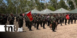Foto: Ejército de Nicaragua destaca cierre exitoso de la cosecha cafetalera 2025–2026/TN8