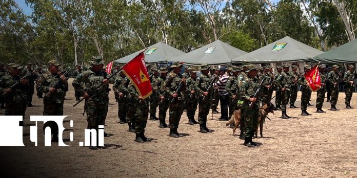 Foto: Ejército de Nicaragua destaca cierre exitoso de la cosecha cafetalera 2025–2026/TN8