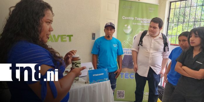 2 Foto: Madriz impulsa la ciencia con jornada juvenil innovadora/ TN8