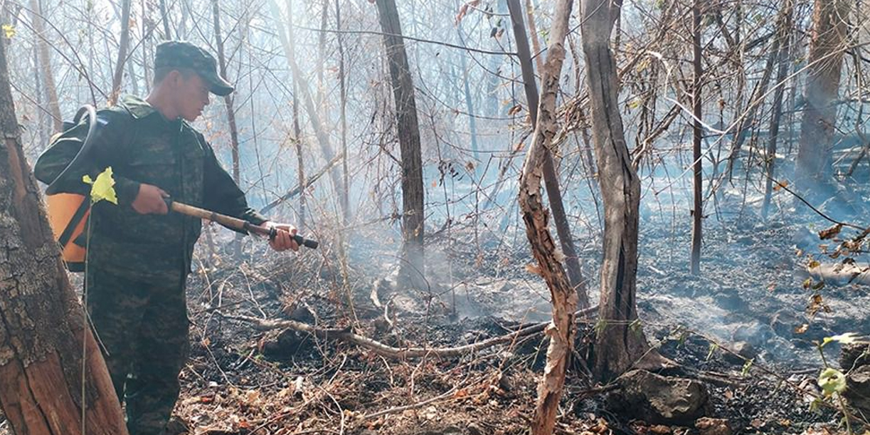 Foto: Ejército de Nicaragua sofoca incendio forestal en Posoltega/Cortesía