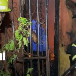 Voraz incendio en Boaco deja a familia sin hogar en barrio La Providencia Foto: Incendio en Boaco deja familia sin hogar/ TN8
