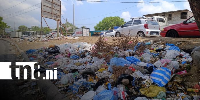 Foto: El impacto de la basura en Managua /TN8