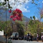 Foto: Accidente deja tres heridos en Ometepe/ TN8