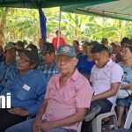 Agricultura: Productores de Ometepe fortalecen estrategias para el ciclo productivo 2026 Foto: Agricultura: Ometepe fortalece ciclo productivo 2026/TN8