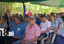 Agricultura: Productores de Ometepe fortalecen estrategias para el ciclo productivo 2026 Foto: Agricultura: Ometepe fortalece ciclo productivo 2026/TN8
