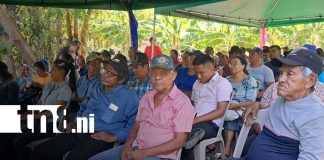 Foto: Agricultura: Ometepe fortalece ciclo productivo 2026/TN8