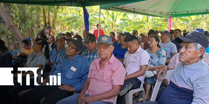 Foto: Agricultura: Ometepe fortalece ciclo productivo 2026/TN8