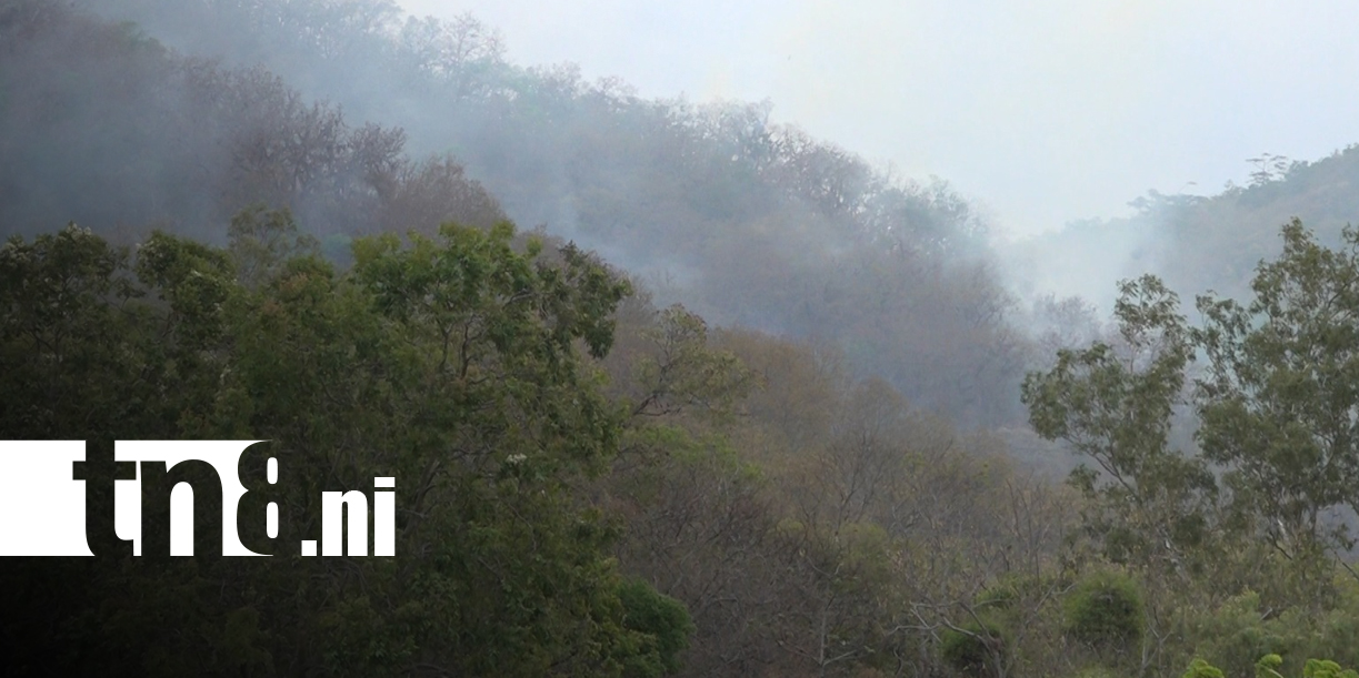 Foto: Bomberos y Ejército controlan incendio en la Reserva Natural Cerro Apante en Matagalpa/TN8