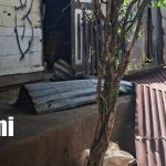 Foto: Tornado causa daños en viviendas y deja familias afectadas en León/TN8