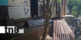 Foto: Tornado causa daños en viviendas y deja familias afectadas en León/TN8