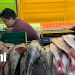 Foto: ¡Mercado Israel Lewites lleno! /TN8
