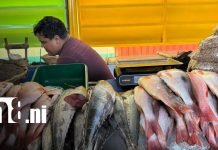 Foto: ¡Mercado Israel Lewites lleno! /TN8