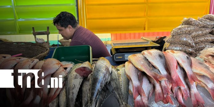 Foto: ¡Mercado Israel Lewites lleno! /TN8