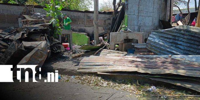 Foto: Dos perritos mueren en incendio de Lomas Chico Pelón/ TN8